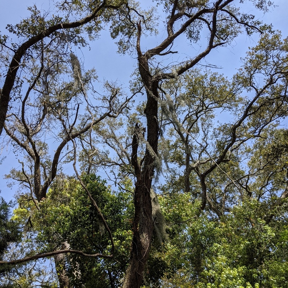 Meet your Posher, Marie